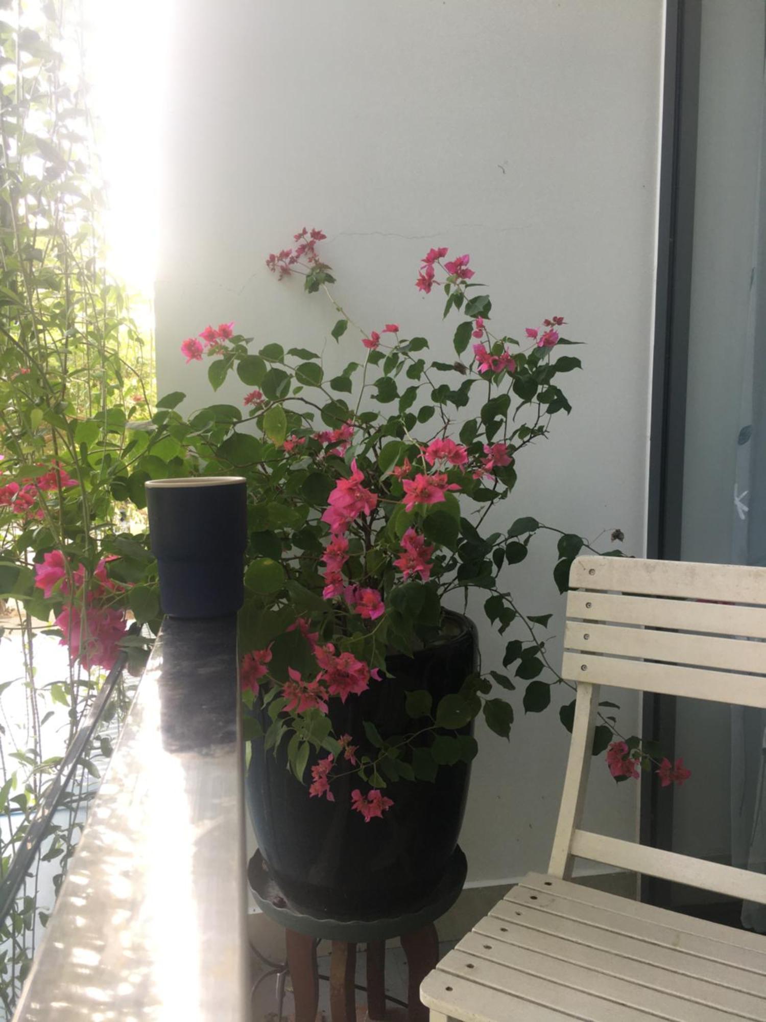 La Gai Homestay Hoi An Esterno foto